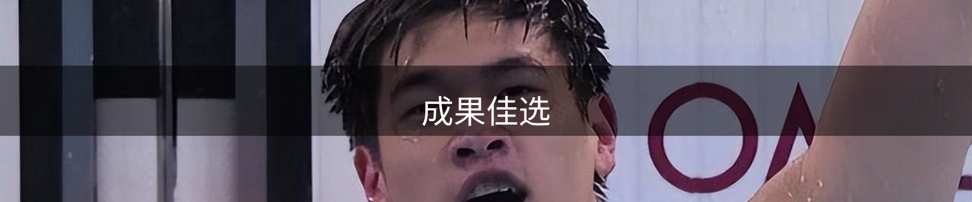 成果佳选